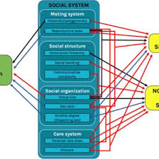 Social Determinants of Health