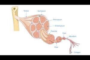 Common Causes of Knee Pain