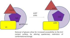 Antigenic Variation