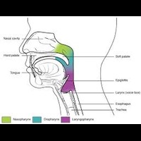 The Broader Effect of Controlled Breathing on Health