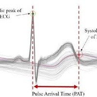 gender disparities in blood pressure 