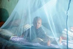 Insecticide-handled nets (ITNs)