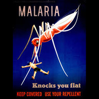 Malaria outbreak