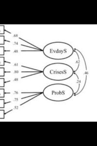 The Display Day: A Multidimensional Approach