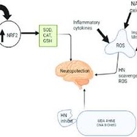 Artemisinin-based totally combination remedy (ACT):