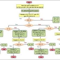 Tumour Advancement: